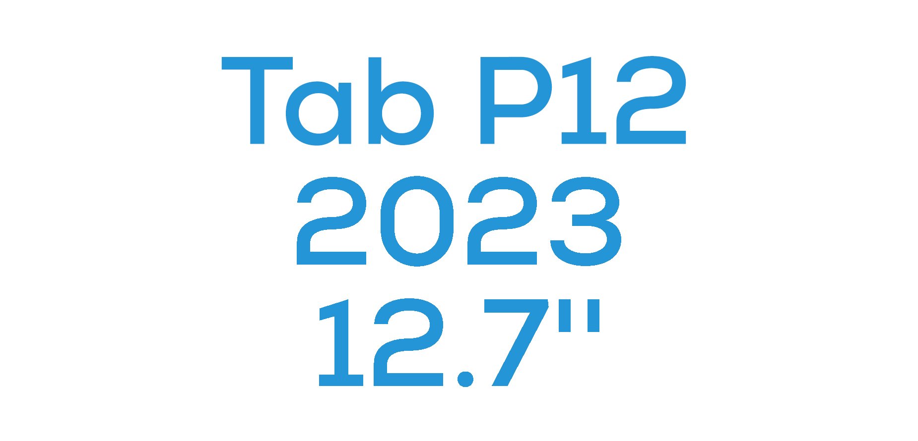 Tab P12 (2023) 12.7''